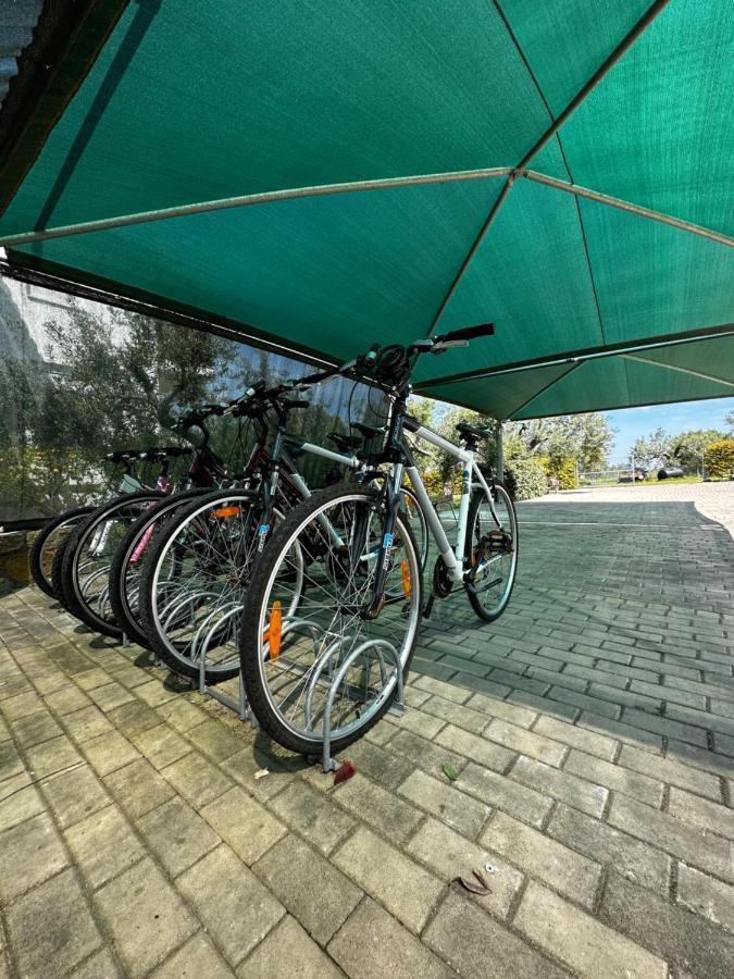 דירות וורוורו Fillis House מראה חיצוני תמונה